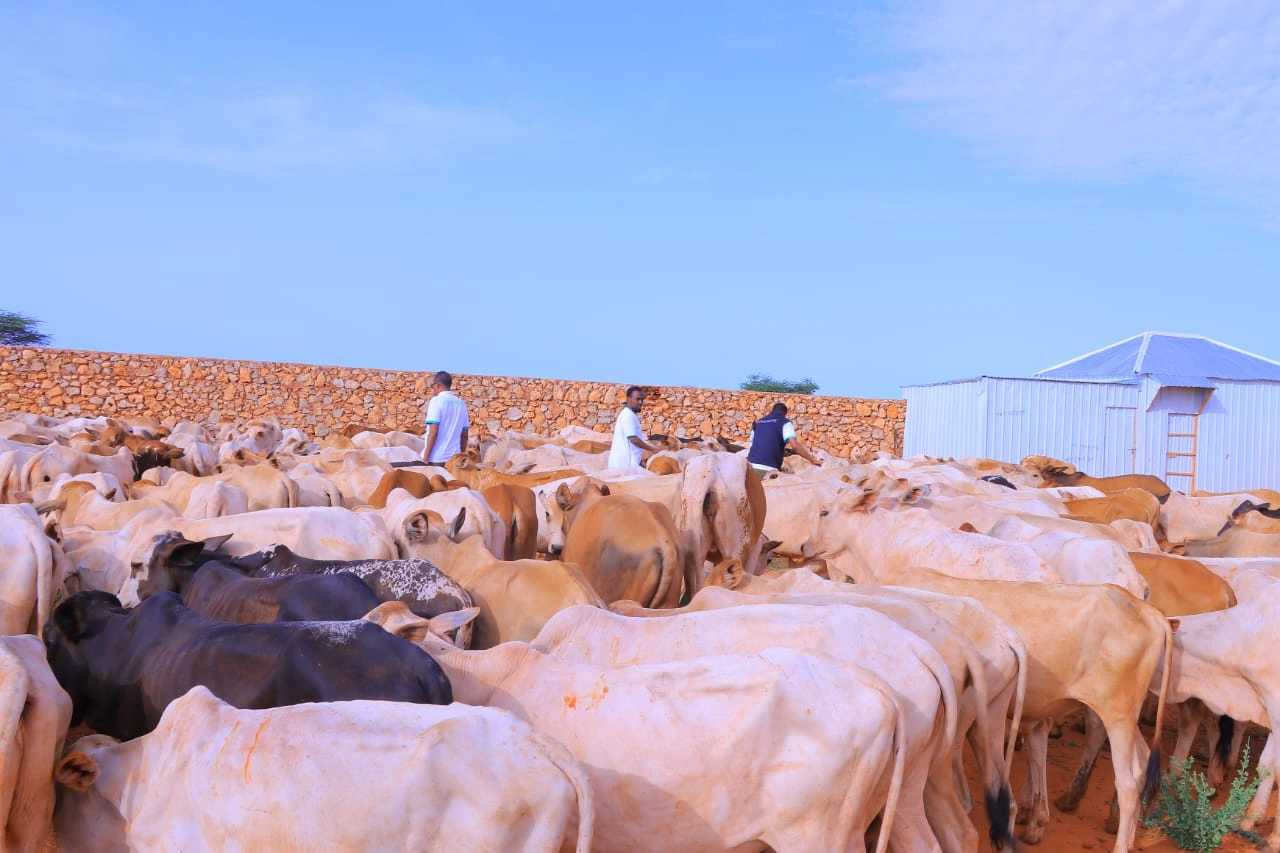 Qurban images Image 11